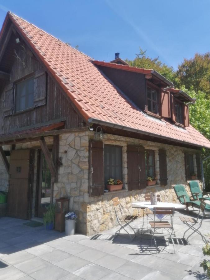 Jagdhaus In Der Rhoen In Voelliger Alleinlage غيرسفلد المظهر الخارجي الصورة